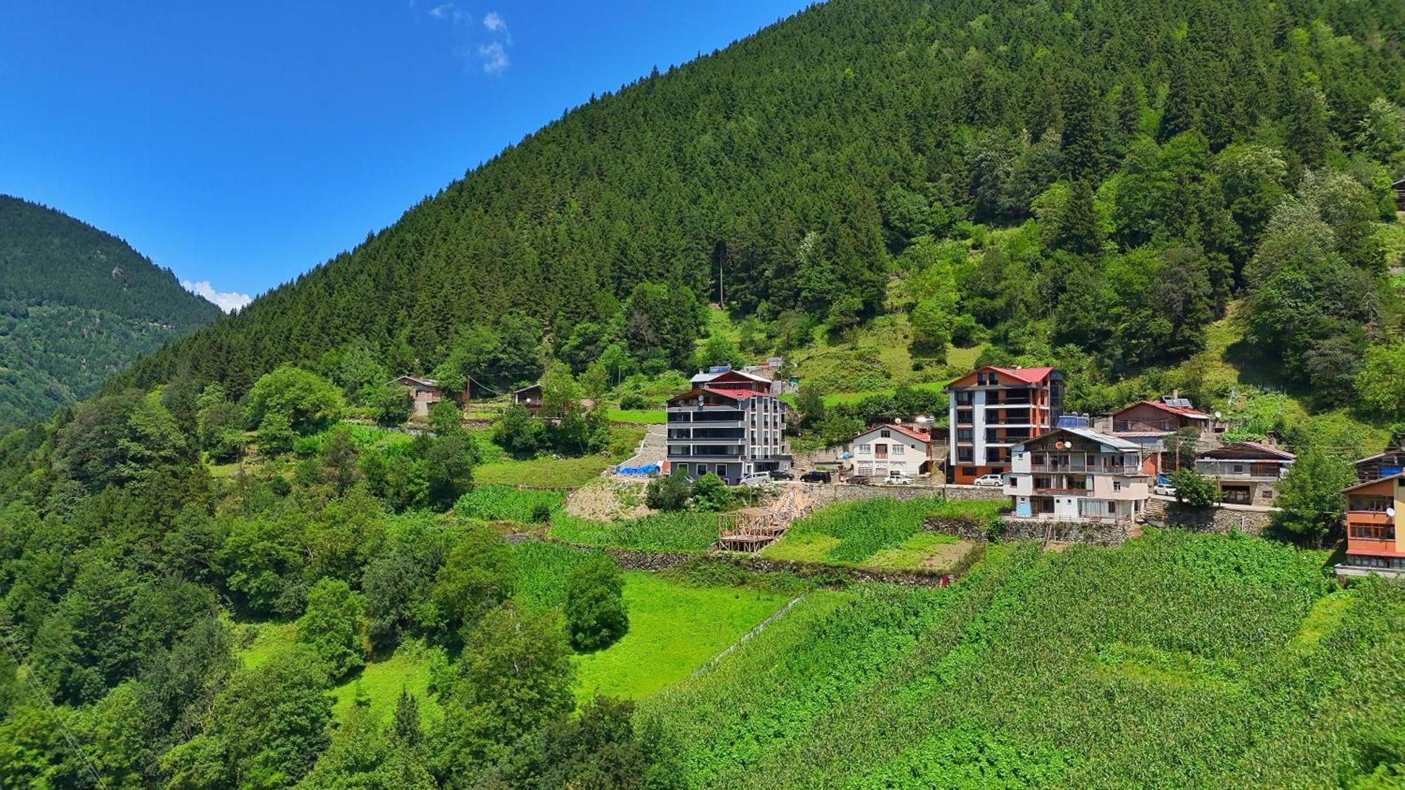 Sinor Apartament *