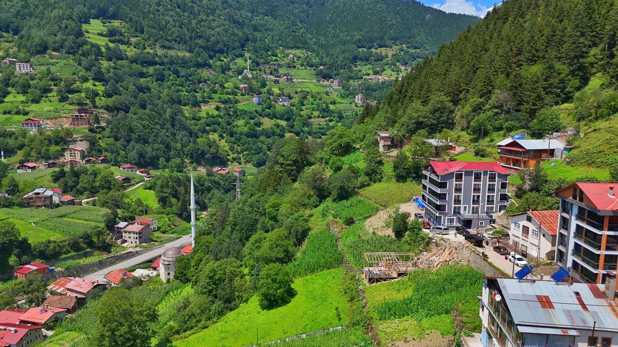 Apartament Sinor